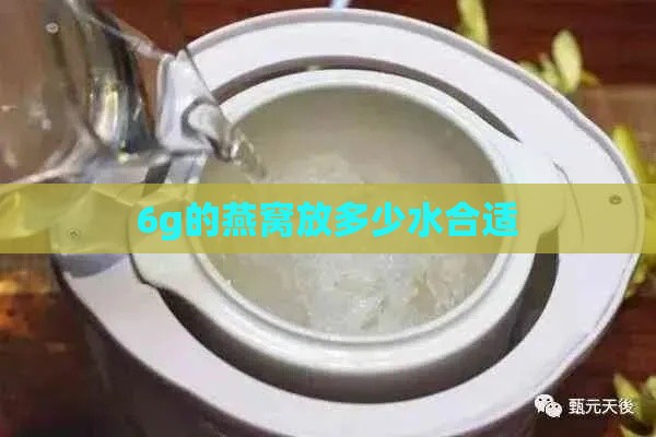 6g的燕窝放多少水合适