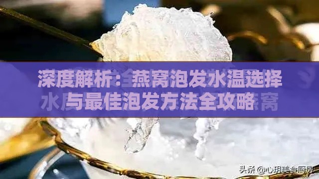 深度解析：燕窝泡发水温选择与更佳泡发方法全攻略