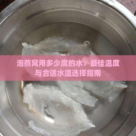 泡燕窝用多少度的水：更佳温度与合适水温选择指南