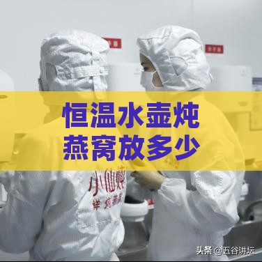 恒温水壶炖燕窝放多少水更好：如何炖出更佳口感与营养？