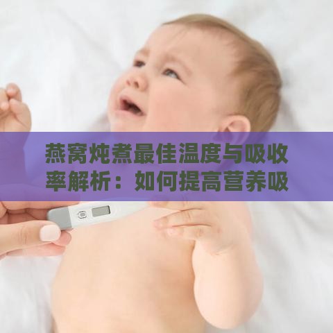 燕窝炖煮更佳温度与吸收率解析：如何提高营养吸收效果