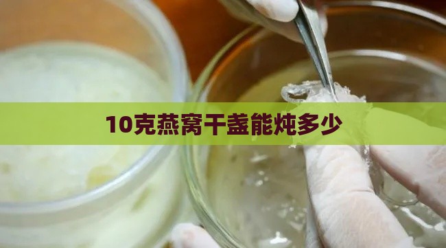 10克燕窝干盏能炖多少