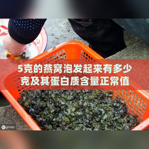 5克的燕窝泡发起来有多少克及其蛋白质含量正常值