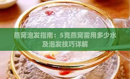 燕窝泡发指南：5克燕窝需用多少水及泡发技巧详解