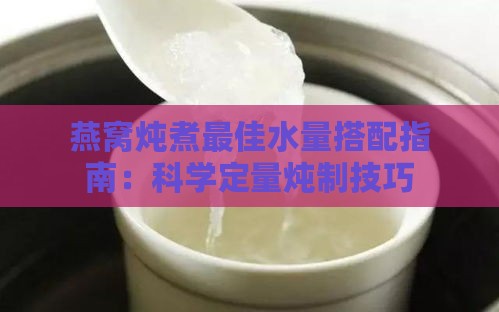 燕窝炖煮更佳水量搭配指南：科学定量炖制技巧