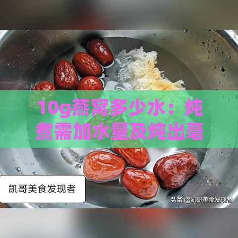 10g燕窝多少水：炖煮需加水量及炖出毫升数