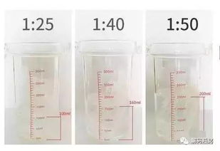 20g燕窝是放多少水的