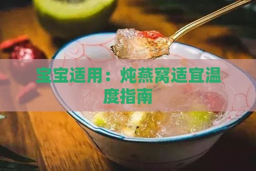 宝宝适用：炖燕窝适宜温度指南