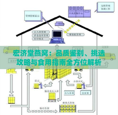 宏济堂燕窝：品质鉴别、挑选攻略与食用指南全方位解析