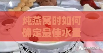 炖燕窝时如何确定更佳水量：完整指南与常见问题解答