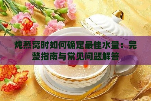 炖燕窝时如何确定更佳水量：完整指南与常见问题解答