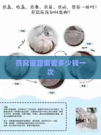 燕窝鉴定需要多少钱一次