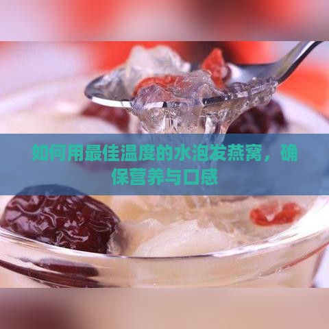 如何用更佳温度的水泡发燕窝，确保营养与口感