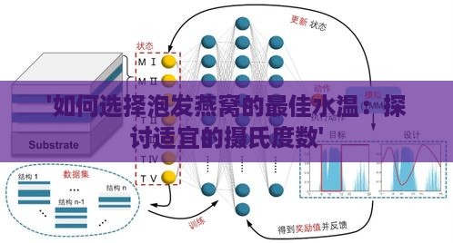 '如何选择泡发燕窝的更佳水温：探讨适宜的摄氏度数'