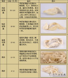 '精选燕窝正品价格一览：各规格正品燕窝多少钱一盒详表'