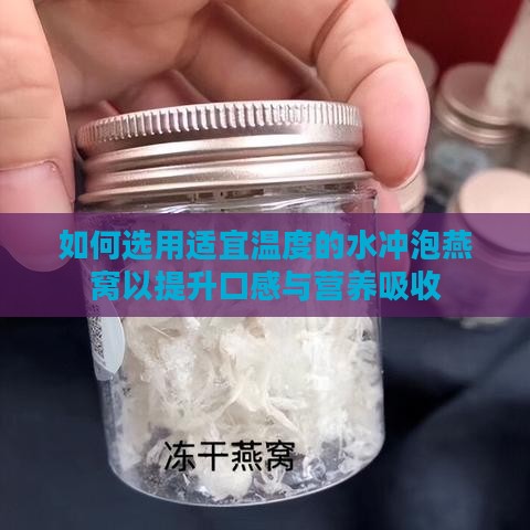 如何选用适宜温度的水冲泡燕窝以提升口感与营养吸收