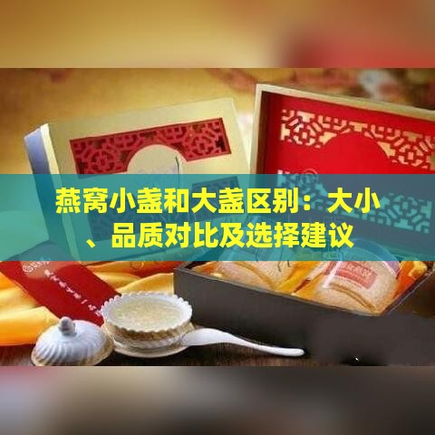 燕窝小盏和大盏区别：大小、品质对比及选择建议