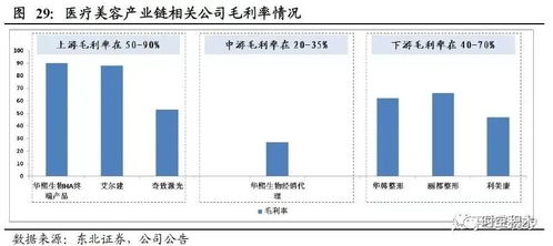 马来燕窝价格一览：批发与零售市场全面解析