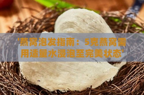 '燕窝泡发指南：5克燕窝需用适量水浸泡至完美状态'