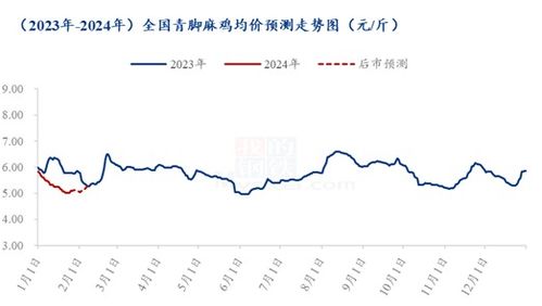 马来西亚顶级燕窝市场价格分析及价格走势解读