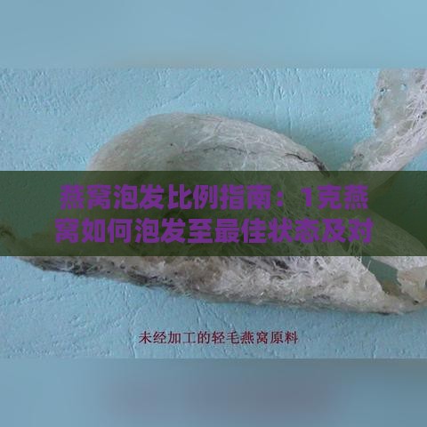 燕窝泡发比例指南：1克燕窝如何泡发至更佳状态及对应重量解析