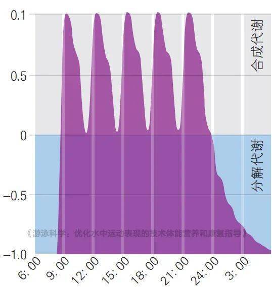 燕窝每日建议摄入量及全年更佳食用量指南